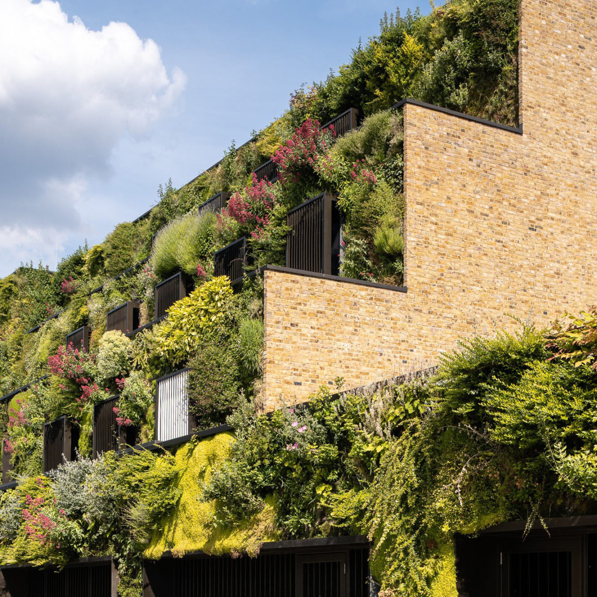 Crosstree portfolio - Kings Walk, Chelsea